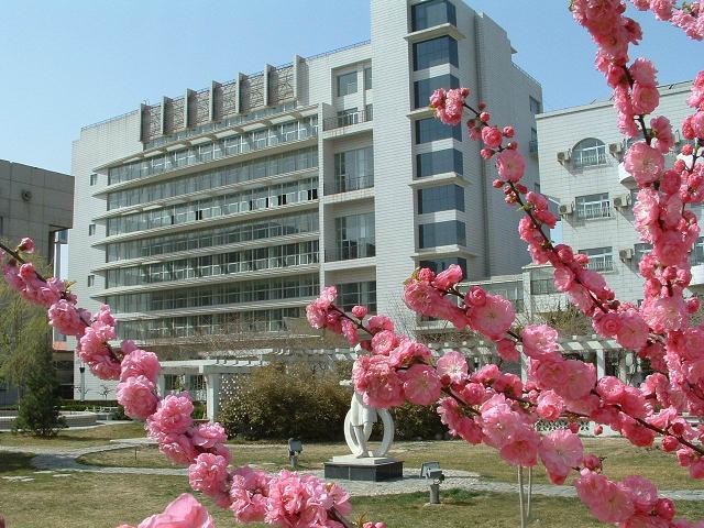 www.操逼视频.com